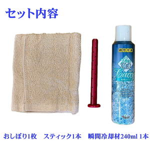 瞬間冷凍おしぼり「プシュ冷えCarry携帯タイプ」セット